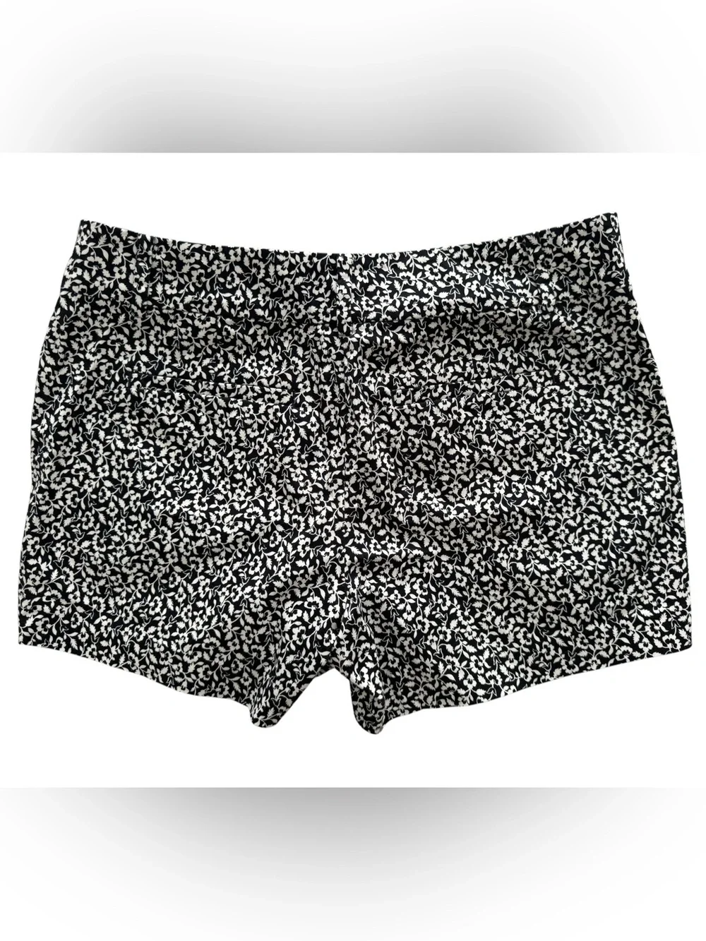 Ann Taylor Signature Black & White Floral Shorts Women 6P